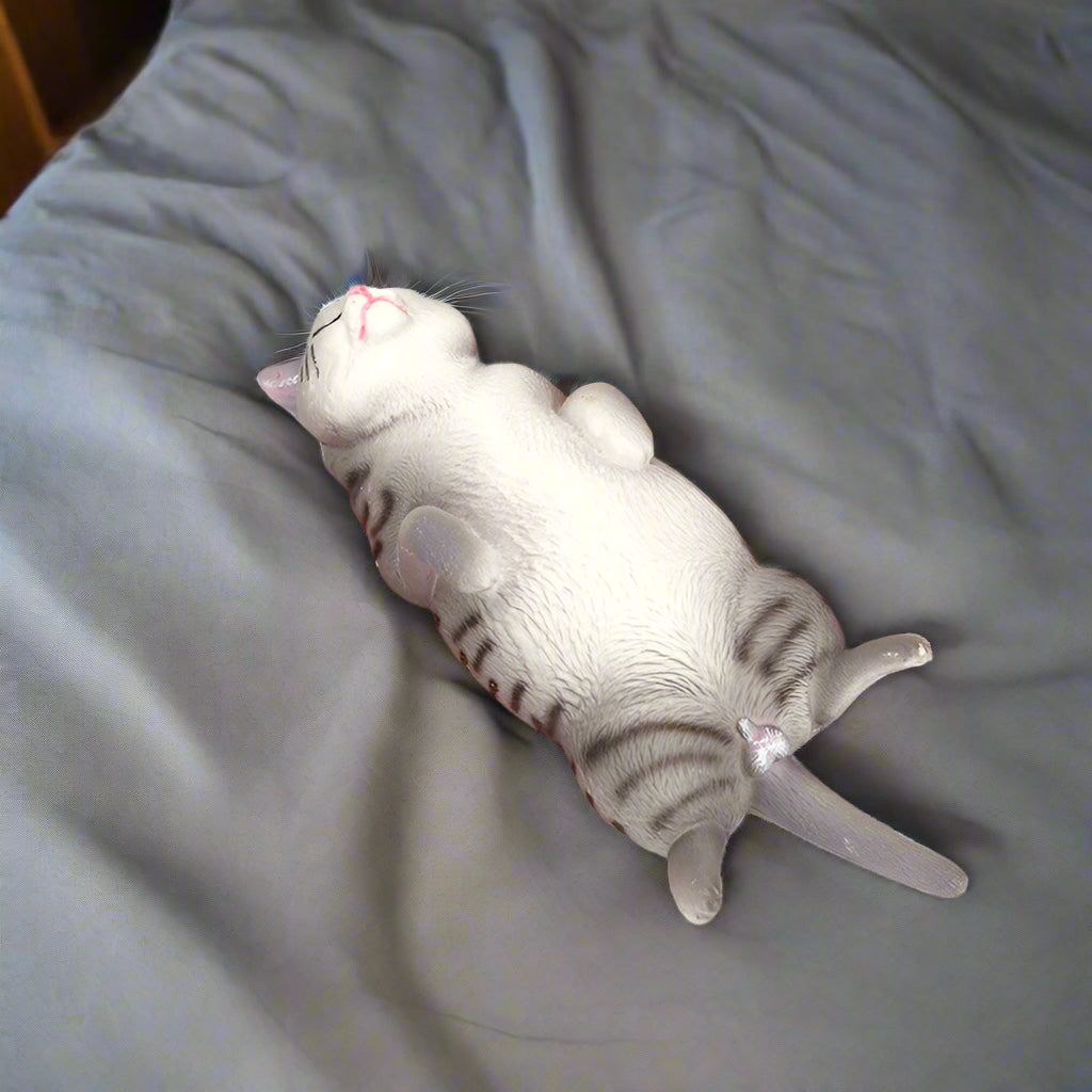 Dreamy Paws