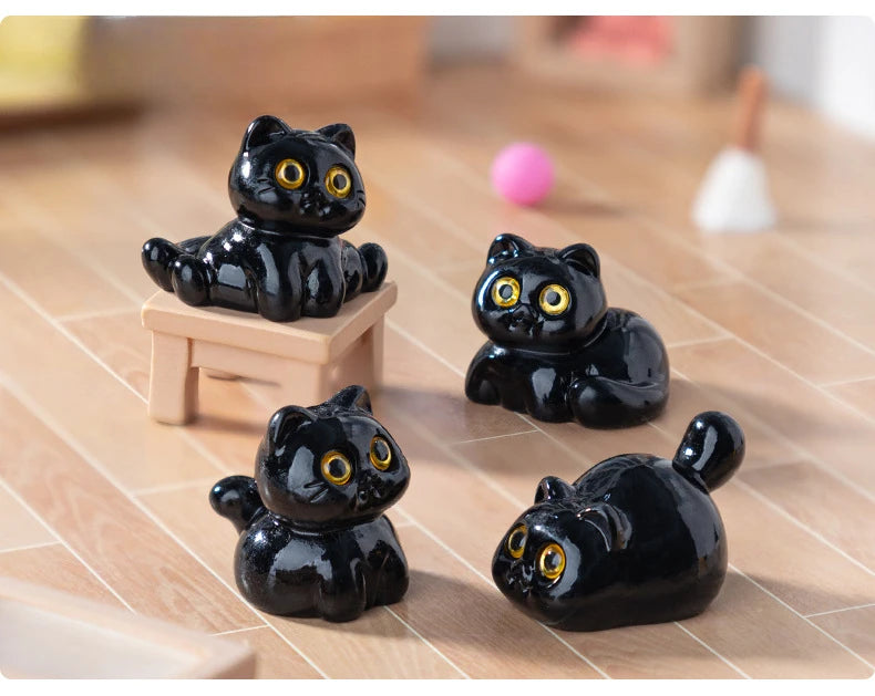 Midnight Meow