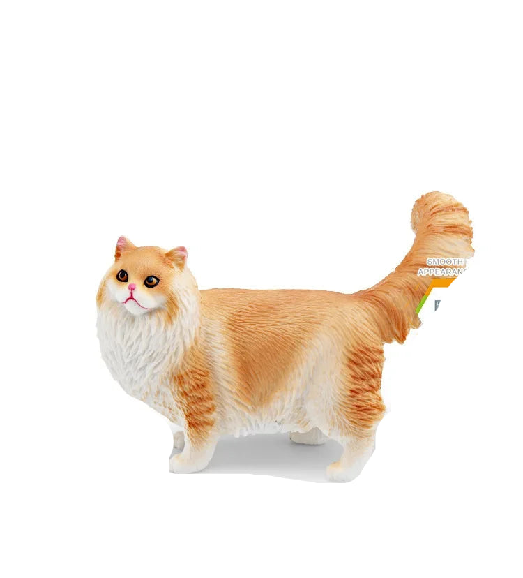 Cattitude Crew