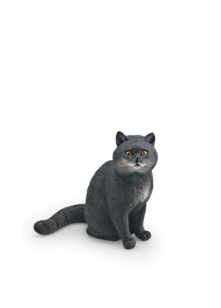 Cattitude Crew