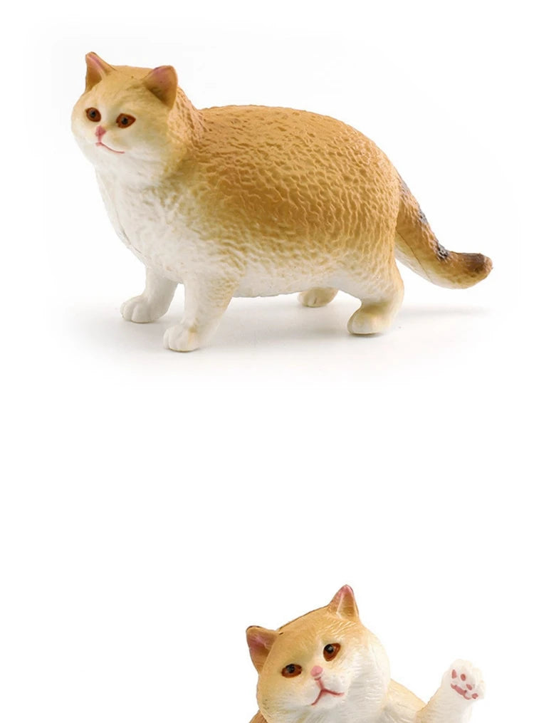 The Cat Tribe