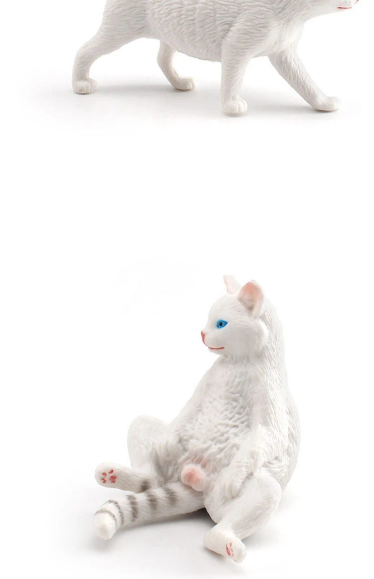 The Cat Tribe