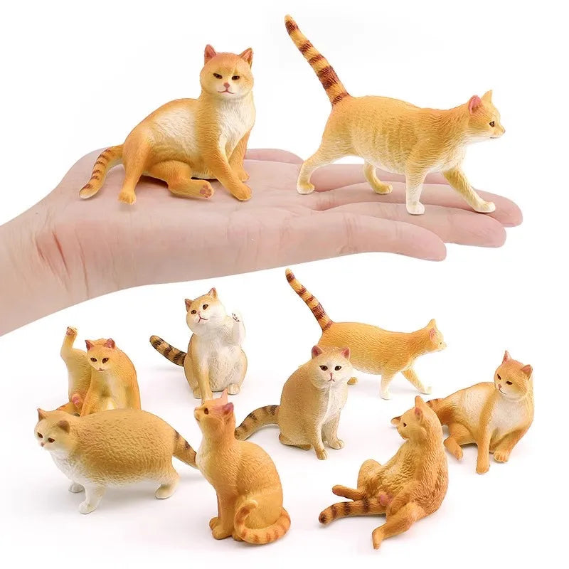 The Cat Tribe