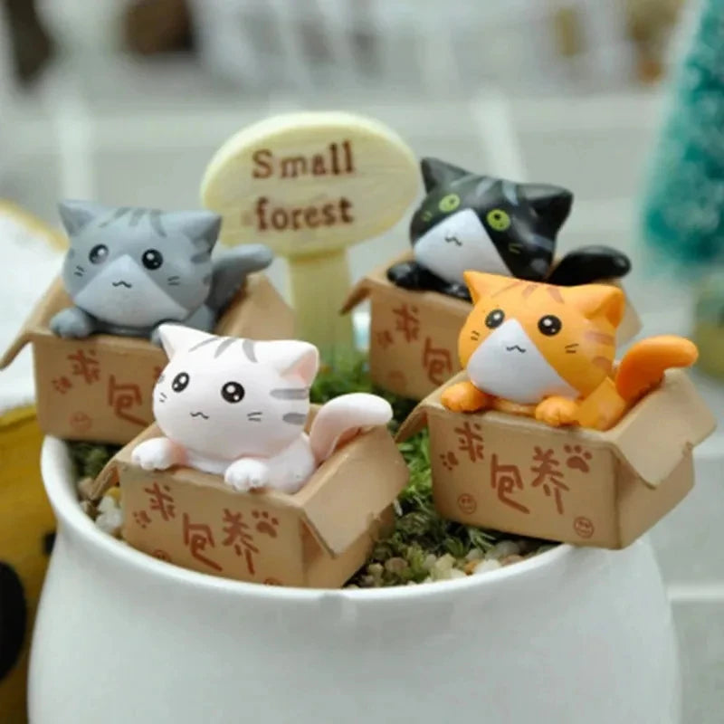 Lucky Box