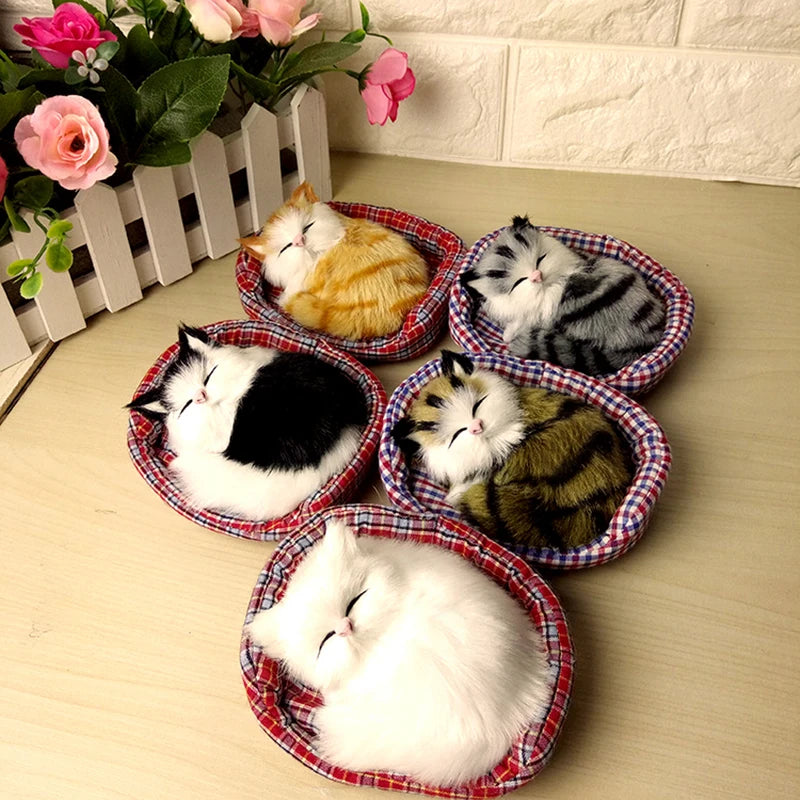 Sleeping Cuties