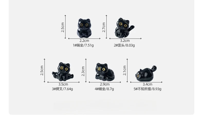 Midnight Meow