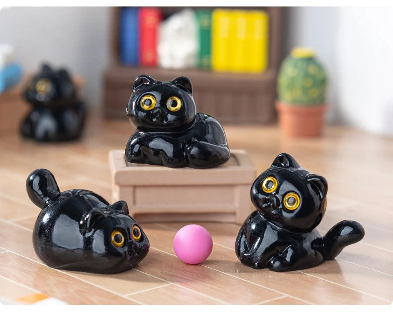 Midnight Meow