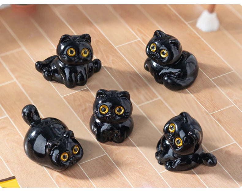 Midnight Meow