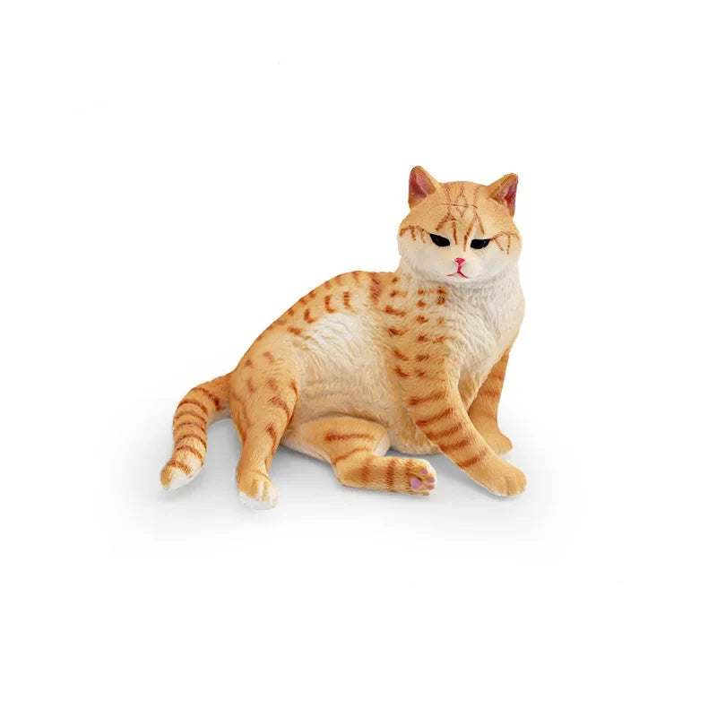 Cattitude Crew