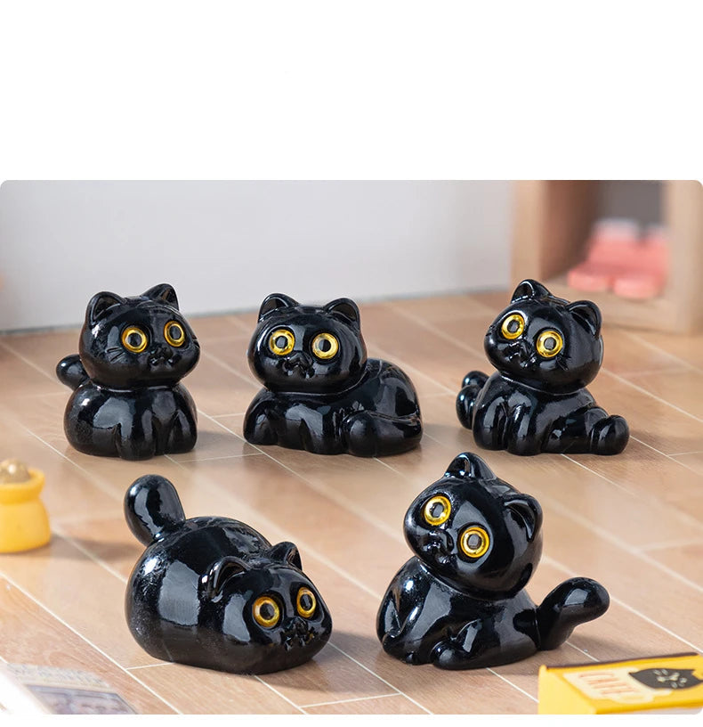 Midnight Meow