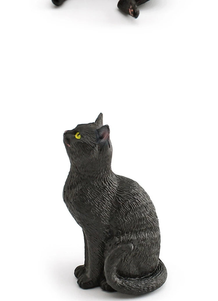 The Cat Tribe