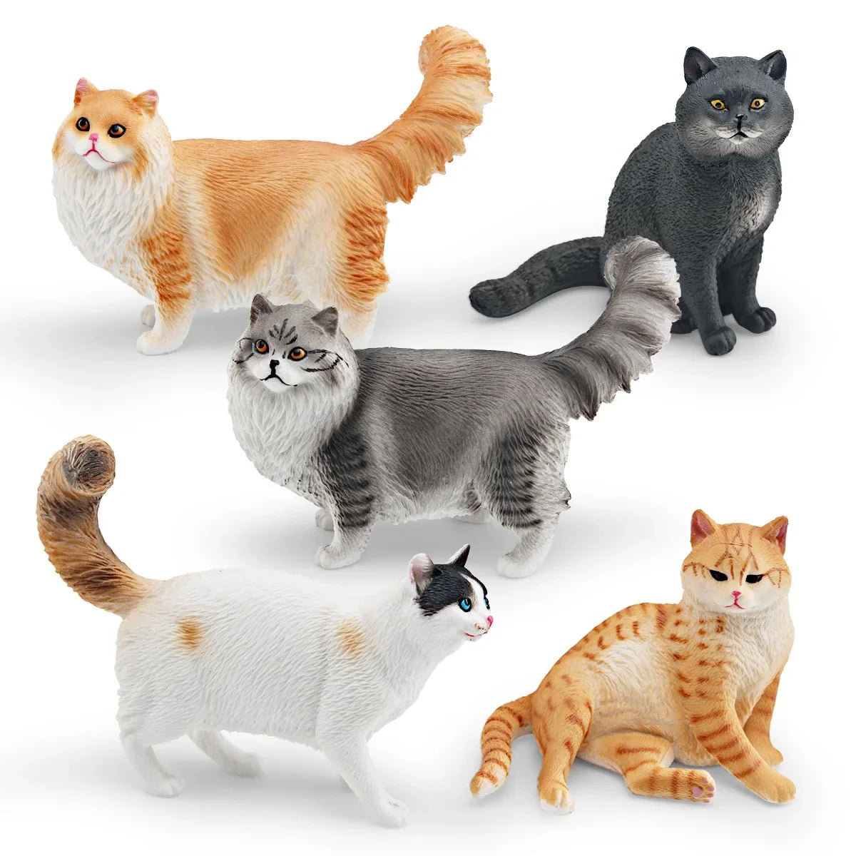 Cattitude Crew