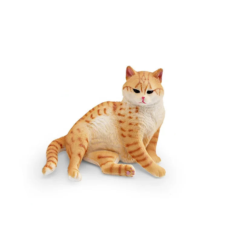 Cattitude Crew