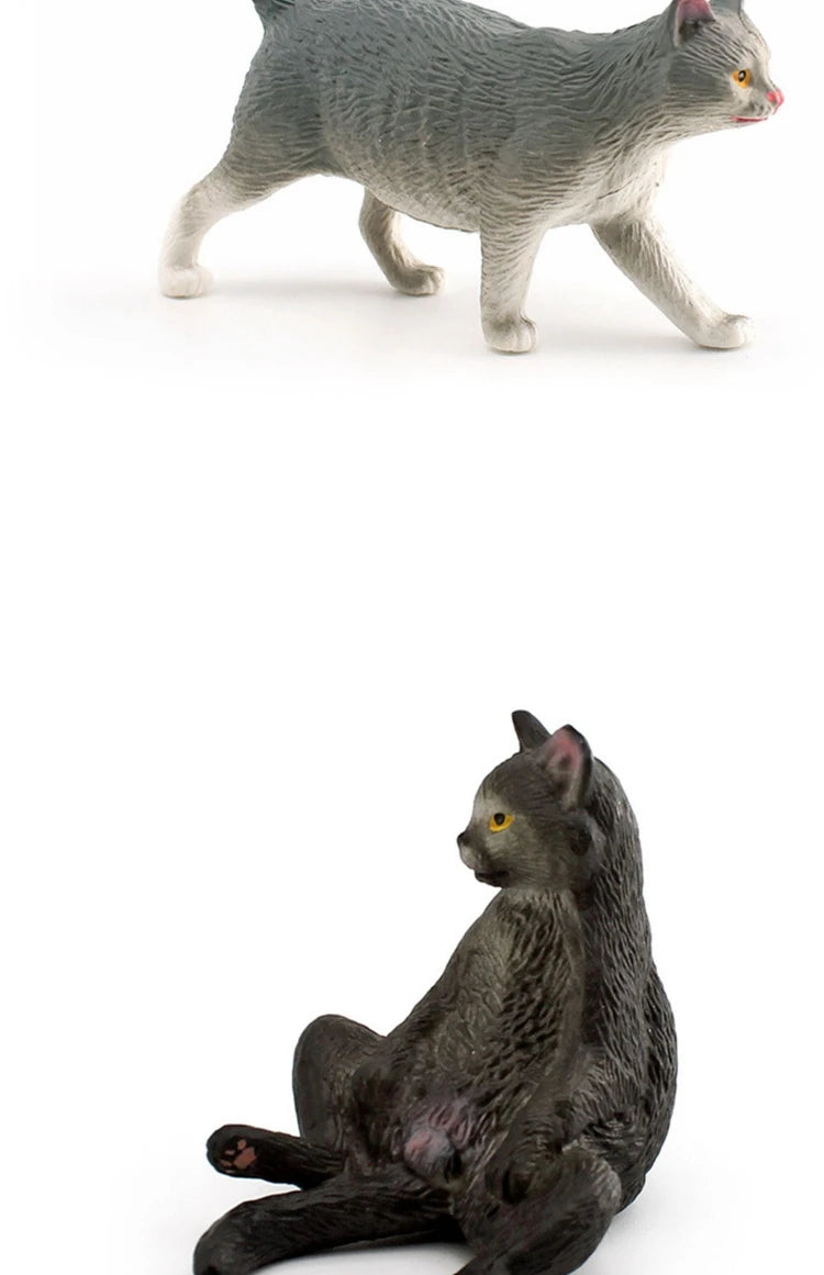 The Cat Tribe