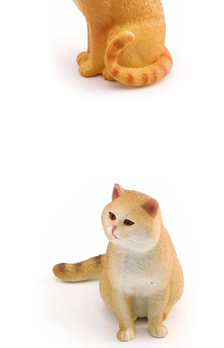 The Cat Tribe