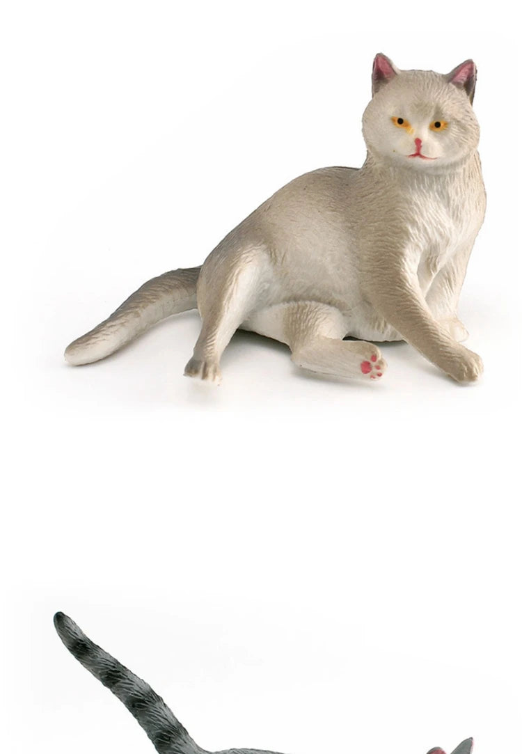 The Cat Tribe