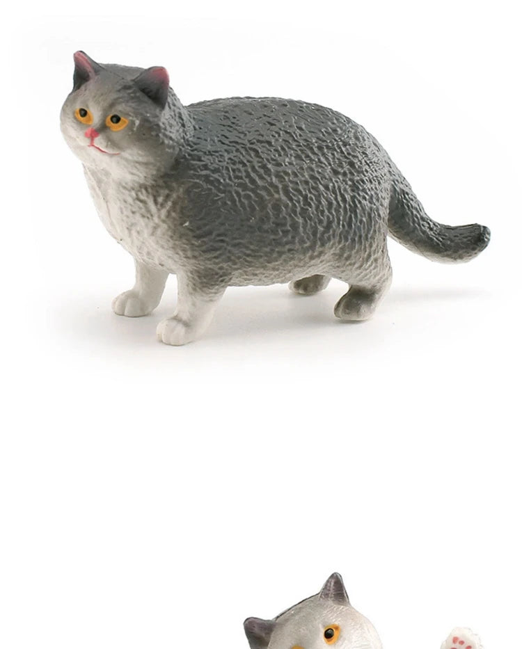 The Cat Tribe