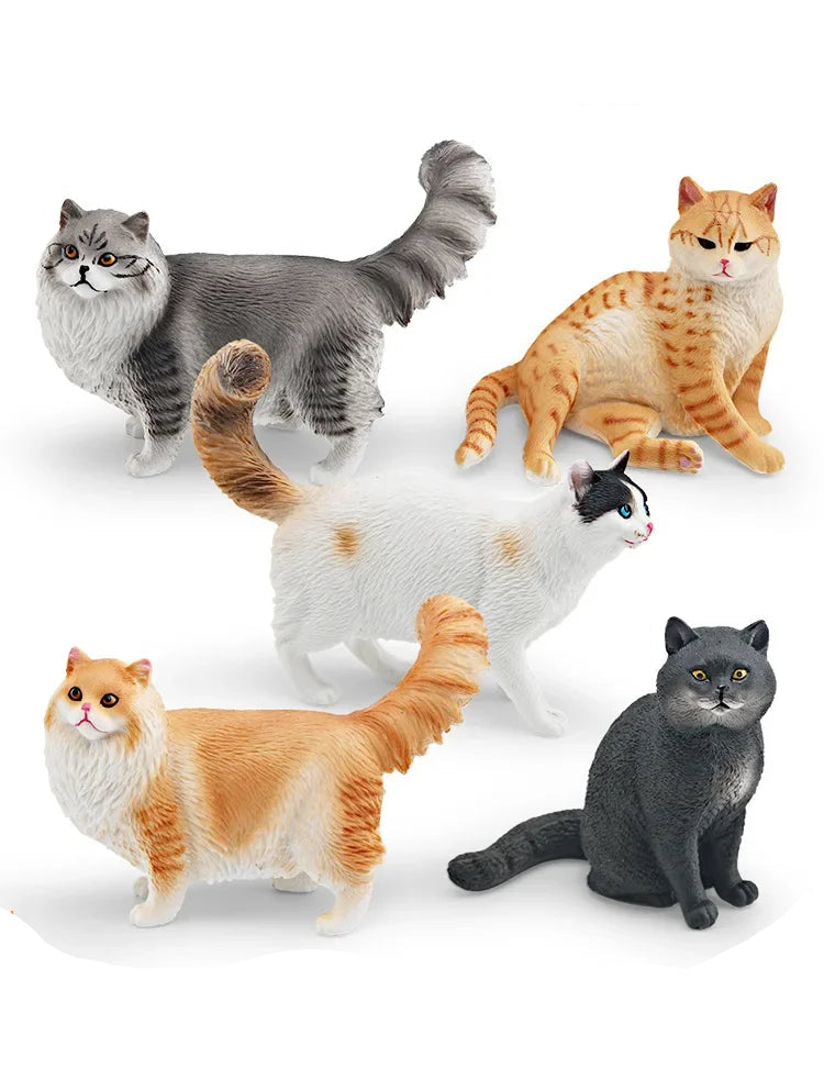 Cattitude Crew