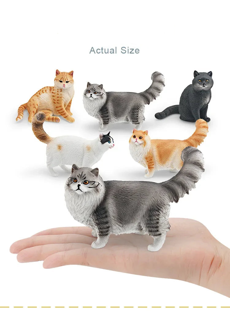 Cattitude Crew