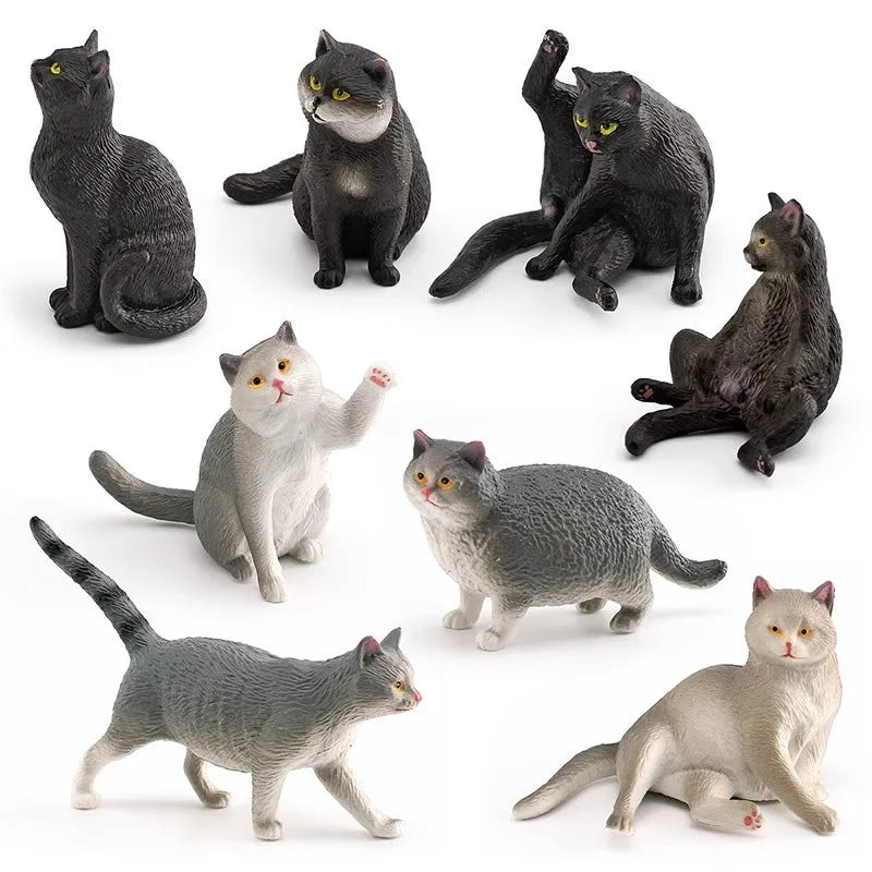 The Cat Tribe
