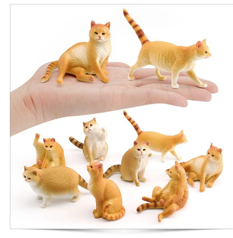 The Cat Tribe
