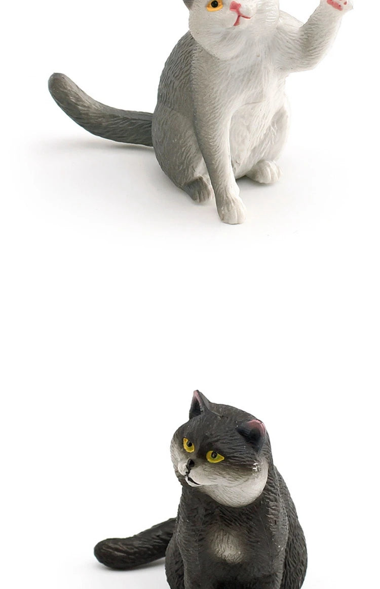 The Cat Tribe
