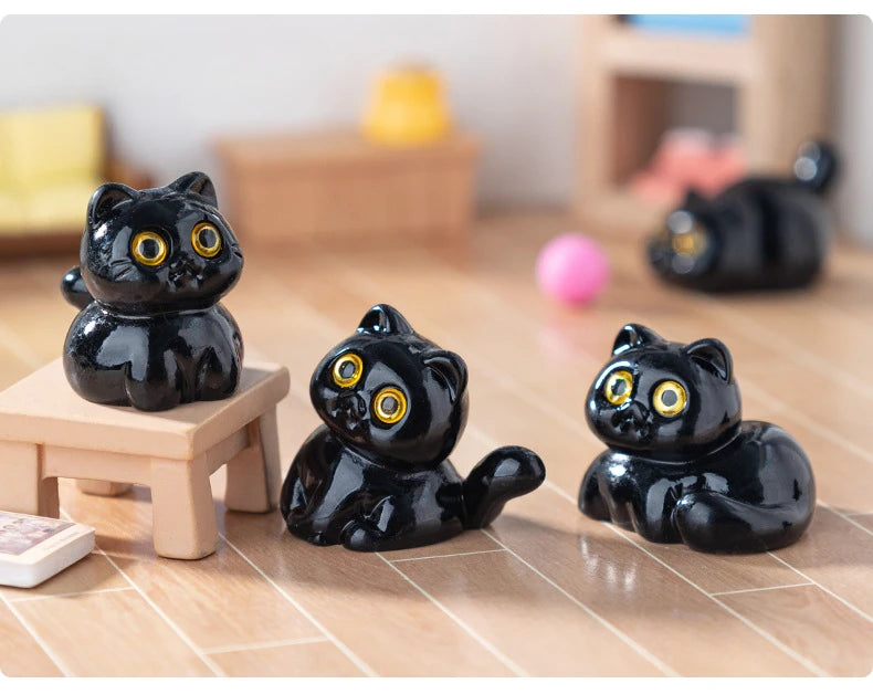Midnight Meow