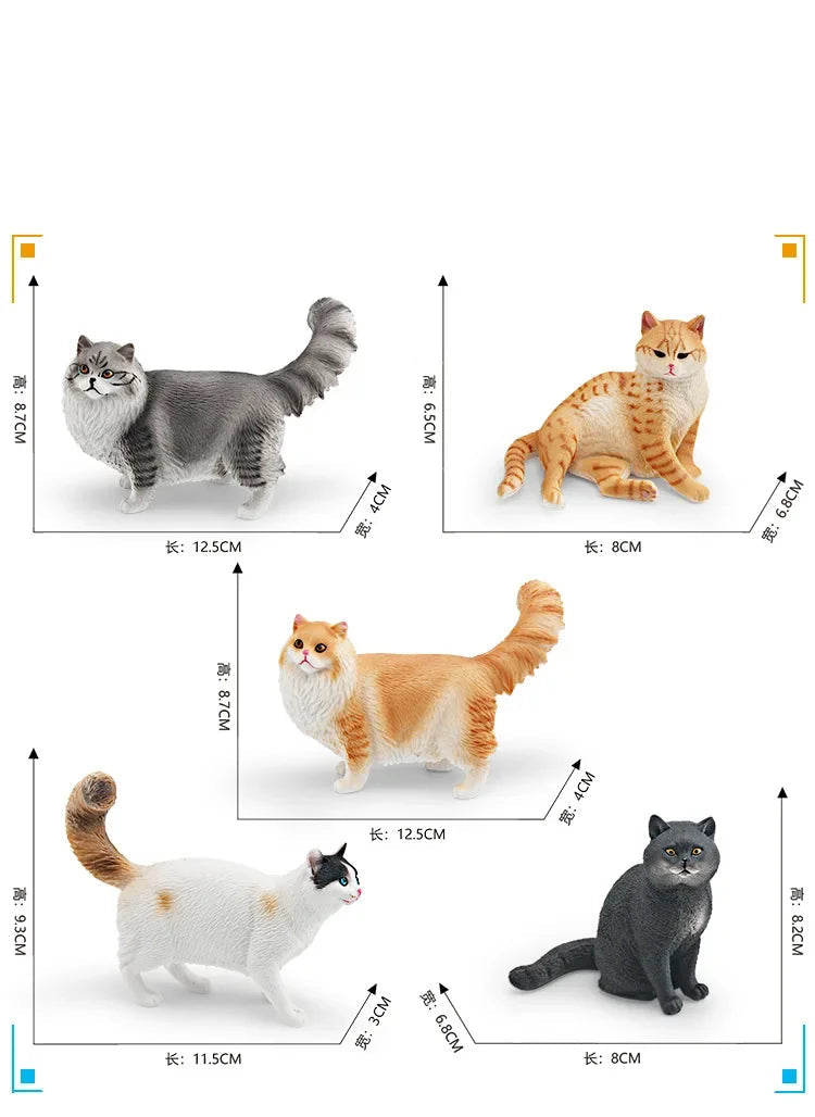 Cattitude Crew