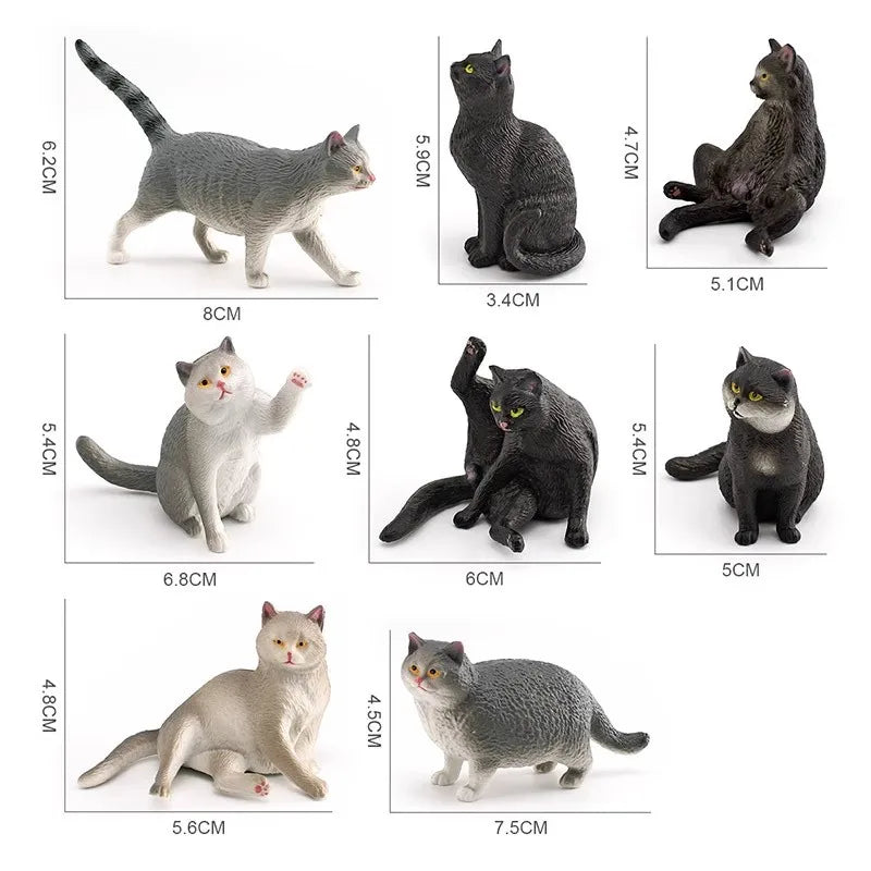 The Cat Tribe