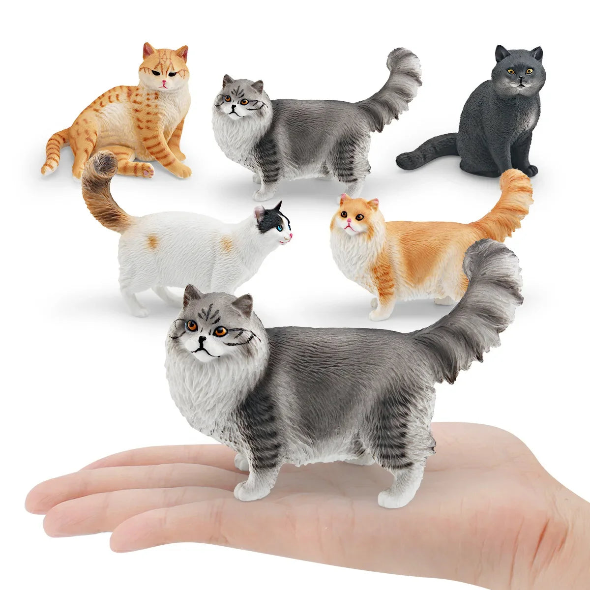 Cattitude Crew