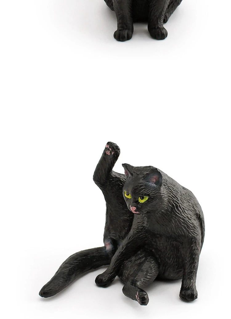 The Cat Tribe