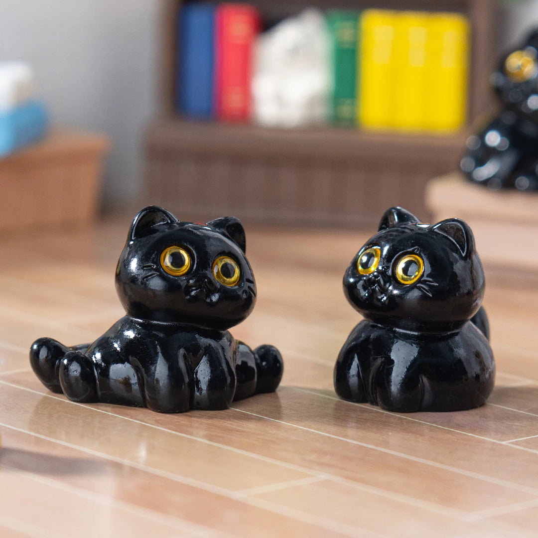 Midnight Meow