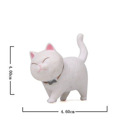 The Purr-fect Bunch