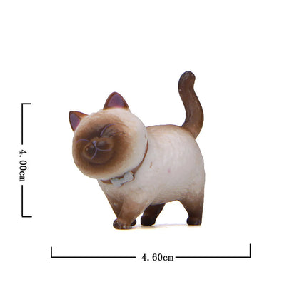 The Purr-fect Bunch