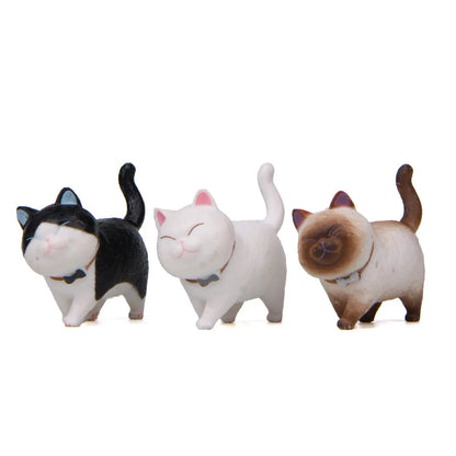 The Purr-fect Bunch