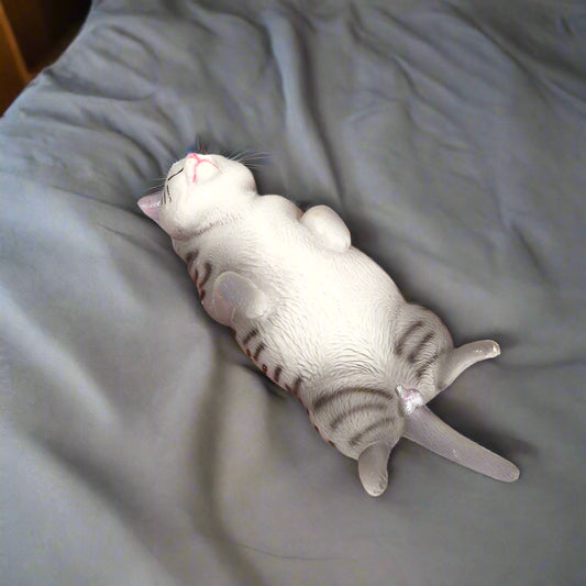 Dreamy Paws