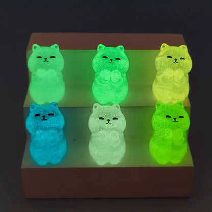 Glow Meow