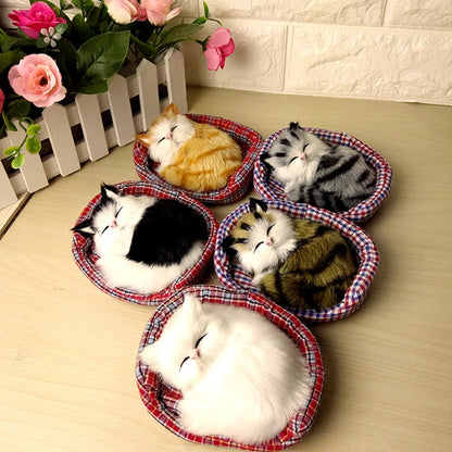 Sleeping Cuties