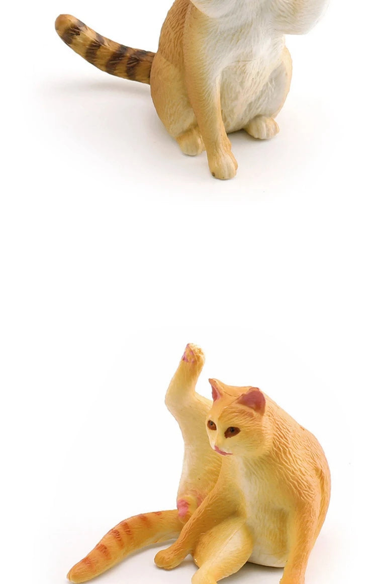 The Cat Tribe