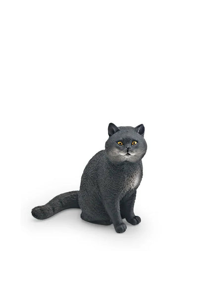 Cattitude Crew