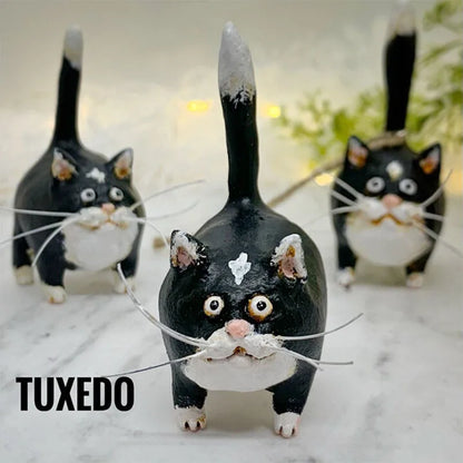 Mr Purry