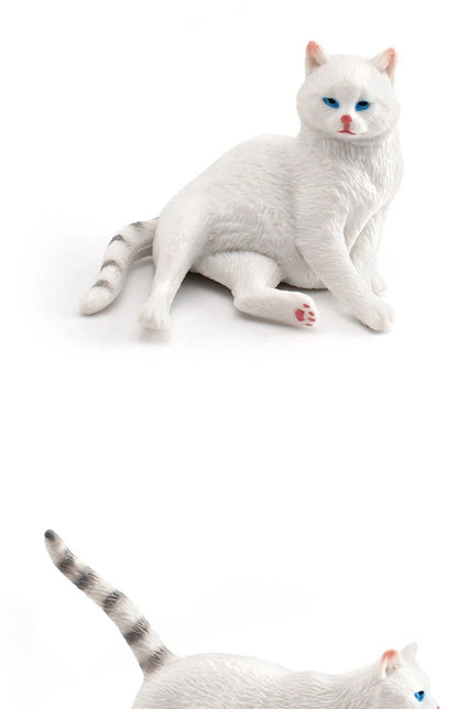 The Cat Tribe