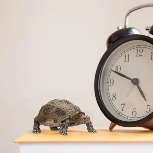 Giant Turtle Figurine