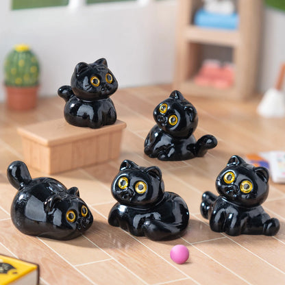 Midnight Meow