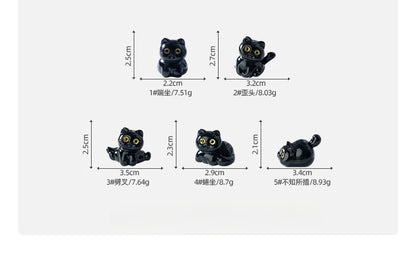 Midnight Meow