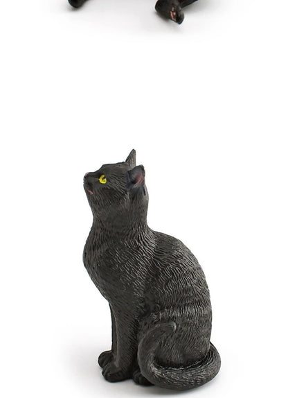 The Cat Tribe