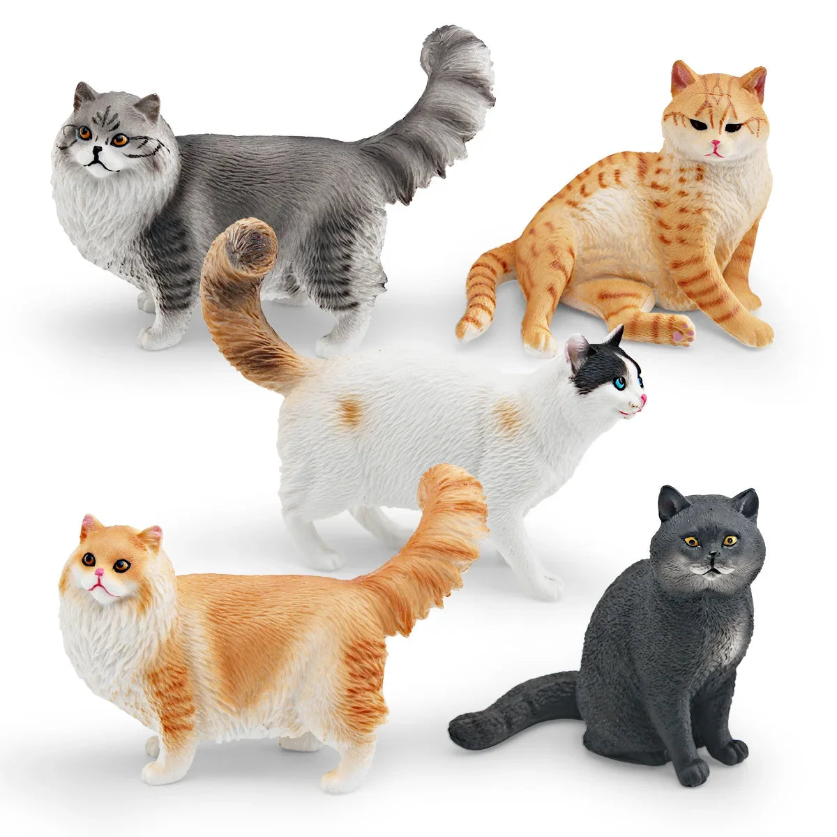 Cattitude Crew
