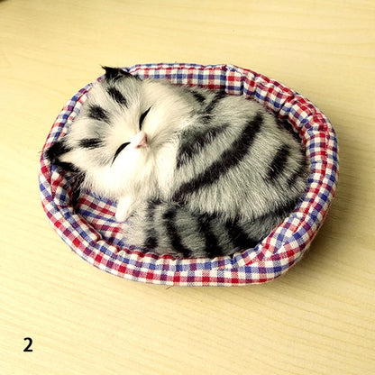 Sleeping Cuties