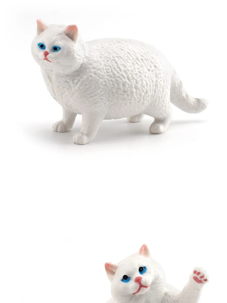 The Cat Tribe