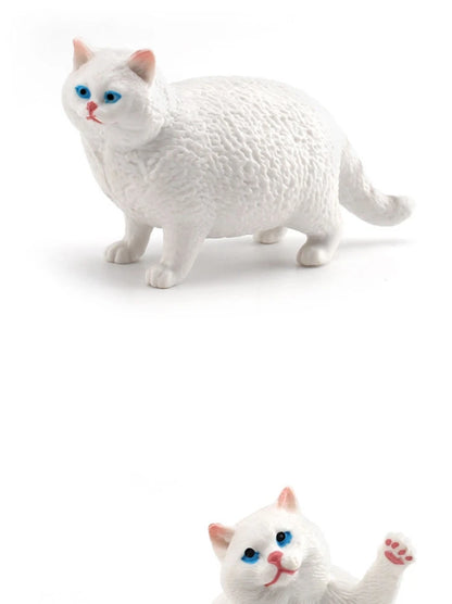 The Cat Tribe